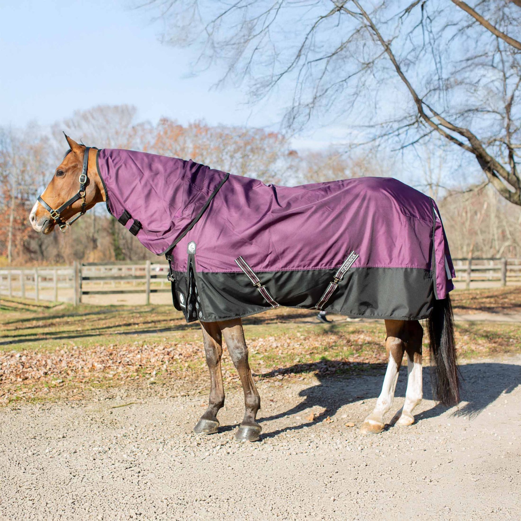 Equinavia Thunder 360 Detachable Neck Horse Turnout Sheet, Plum Wine, 75-in