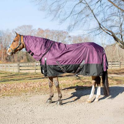 Show full view: Equinavia Thunder 360 Detachable Neck Heavy Weight 300g Horse Turnout Blanket, Plum Wine, 84-in slide 4 of 9