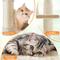 Show in main carousel: Yaheetech Cat Scratching Tree, 61.5-in, Beige slide 5 of 8
