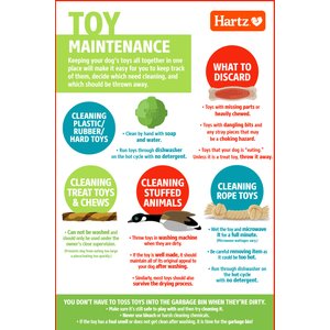 Hartz Chew 'n Clean Tuff Bone Tough Dog Chew Toy Toy, Color Varies, Small