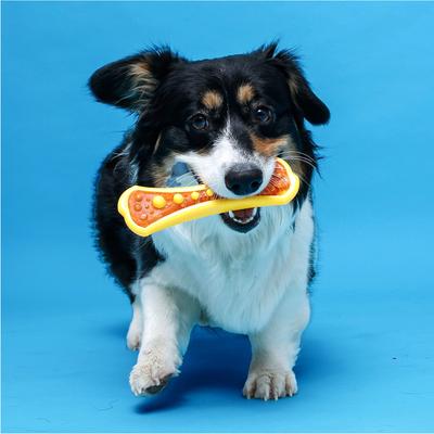 Show full view: Hartz Chew 'n Clean Dental Duo Dog Treat & Chew Toy, Color Varies, 3 count, Large slide 7 of 11
