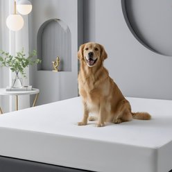 Utopia Bedding Premium Stretchable 200 GSM Waterproof Mattress Protector, White, Queen slide 1 of 9