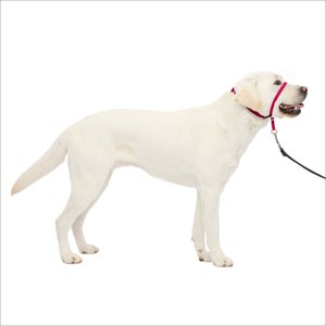 PetSafe Gentle Leader Padded No Pull Dog Headcollar, Raspberry, Large: 11 to 24-in neck
