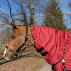 Equinavia Norse 200g Horse Turnout Neck Cover, Equestrian Red, Small