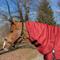 Show in main carousel: Equinavia Norse Neck Cover No Fill Horse Turnout, Equestrian Red, Small slide 1 of 4