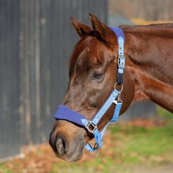 Equinavia Saga Fleece Padded Breakaway Horse Halter, Clear Sky/Skipper Blue, Warmblood