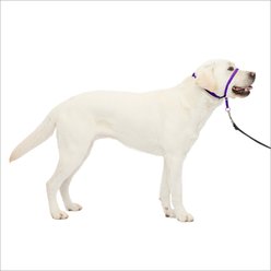 PetSafe Gentle Leader Padded No Pull Dog Headcollar, Deep Purple, Large: 11 to 24-in neck
