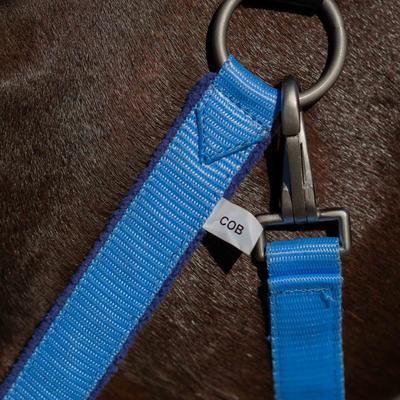 Show full view: Equinavia Saga Fleece Padded Breakaway Horse Halter, Clear Sky/Skipper Blue, Warmblood slide 4 of 4