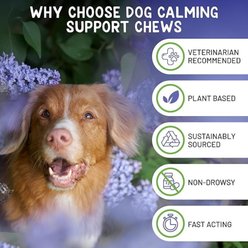 Brave Paws Natural Fast Acting Beef Flavored Soft Chew Calming Support Supplement for Dogs, 4.2-oz bag, 30 count slide 2 of 9