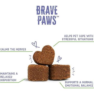 Show full view: Brave Paws Natural Fast Acting Beef Flavored Soft Chew Calming Support Supplement for Dogs, 4.2-oz bag, 30 count slide 7 of 11