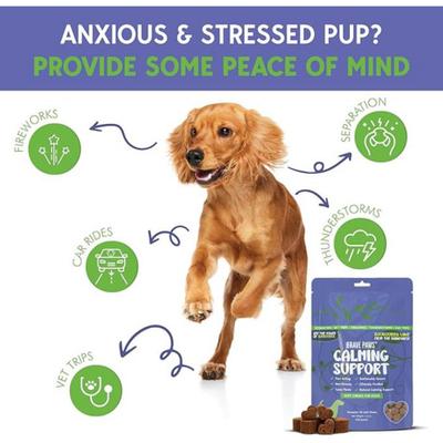 Show full view: Brave Paws Natural Fast Acting Beef Flavored Soft Chew Calming Support Supplement for Dogs, 4.2-oz bag, 30 count slide 4 of 11