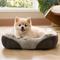 Show in main carousel: Bedsure Square Bolster Dog Bed, Brown, Small slide 1 of 12