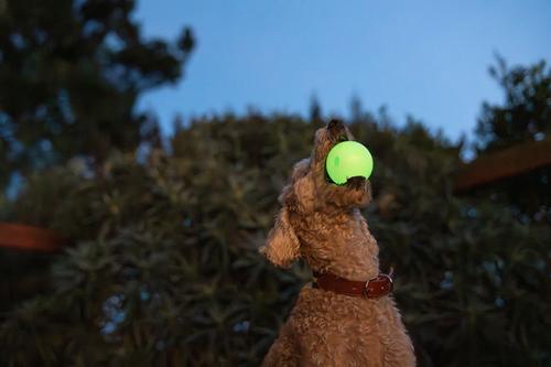 Show full view: Harry Barker Glow Ball Dog Toy, Green, 2 count, Medium: 3-in slide 6 of 8