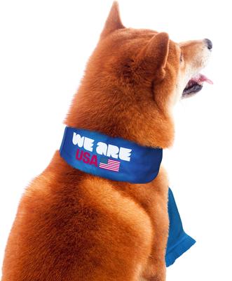 Show full view: Littlearth FIFA World Cup 2026 Fan Dog Scarf, USA, Large slide 6 of 10