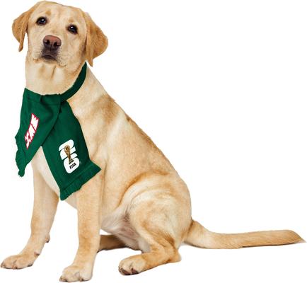 Show full view: Littlearth FIFA World Cup 2026 Fan Dog Scarf, Mexico, Small slide 2 of 9