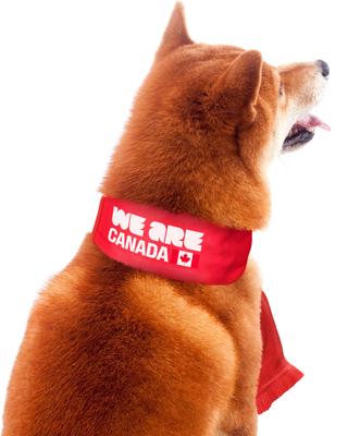 Show full view: Littlearth FIFA World Cup 2026 Fan Dog Scarf, Canada, Large slide 5 of 8