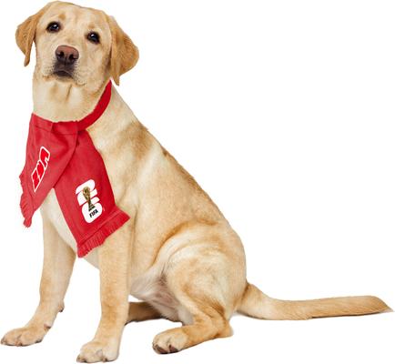 Show full view: Littlearth FIFA World Cup 2026 Fan Dog Scarf, Canada, Large slide 2 of 8