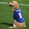 Show in main carousel: Littlearth FIFA World Cup 2026 Stretch Dog Jersey, USA, Medium slide 3 of 8