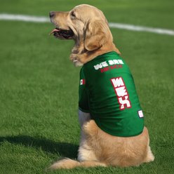 Littlearth FIFA World Cup 2026 Stretch Dog Jersey, Mexico, Large slide 2 of 7