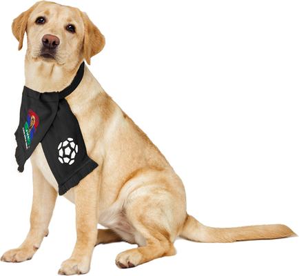 Show full view: Littlearth FIFA World Cup 2026 Fan Dog Scarf, FIFA, Large slide 2 of 9