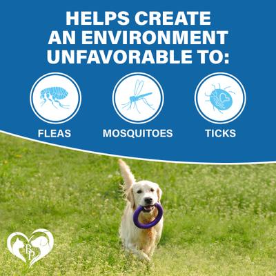 Show full view: Beloved Pets Flea & Tick Prevention Support Soft Chews for Dogs, 10-oz jar slide 2 of 7