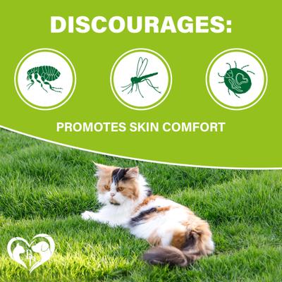 Show full view: Beloved Pets Flea & Tick Prevention Support Salmon Flavor Treats for Cats, 10-oz jar slide 3 of 8