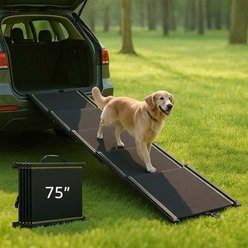 Unipaws Extra Long Telescoping Dog Car Ramp, Black slide 1 of 7