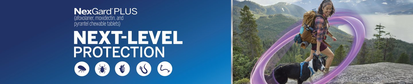 NexGard Plus (afoxolander, moxidectin, and pyrantel chewable tablets) Next-Level Protection