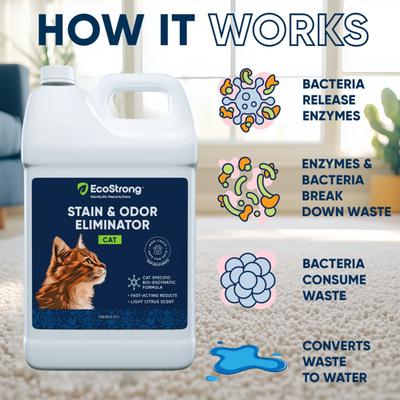 Show full view: EcoStrong Cat Stain & Odor Eliminator Spray, 1-gal bottle slide 4 of 10