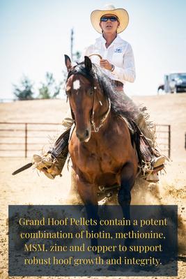 Show full view: Grand Meadows Grand Hoof Pellets + MSM Hoof Support Formula Horse Supplement, 5-lb tub slide 6 of 8
