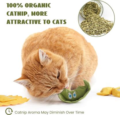 Show full view: Pawsible Pasta Plate Cat Toy Set, 3 count slide 5 of 7