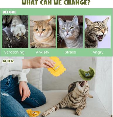 Show full view: Pawsible Pasta Plate Cat Toy Set, 3 count slide 4 of 7