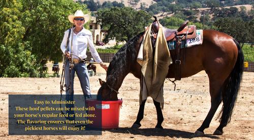 Show full view: Grand Meadows Grand Hoof Pellets + MSM Hoof Support Formula Horse Supplement, 5-lb tub slide 5 of 8