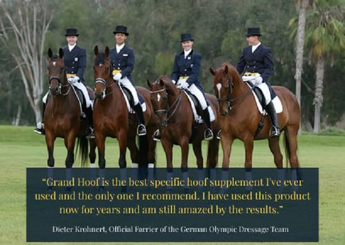 Show full view: Grand Meadows Grand Hoof Pellets + MSM Hoof Support Formula Horse Supplement, 20-lb tub slide 7 of 8