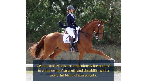 Show full view: Grand Meadows Grand Hoof Pellets + MSM Hoof Support Formula Horse Supplement, 20-lb tub slide 3 of 8