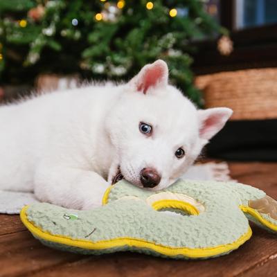 Show full view: Nocciola Durabite Ring Snake Squeaky Dog Chew Toy slide 7 of 7