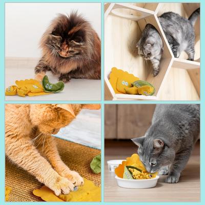 Show full view: Pawsible Pasta Plate Cat Toy Set, 3 count slide 7 of 7