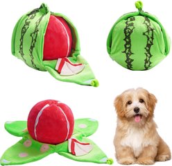 Nocciola 4-in-1 Watermelon Enrichment Dog Toys, 3-count
