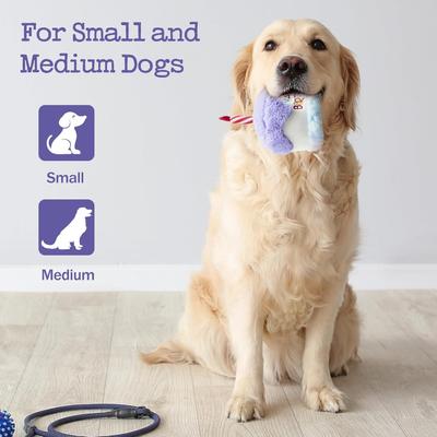 Show full view: Nocciola Blueberry Birthday Cake Squeaky Dog Toy slide 6 of 7