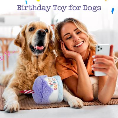 Show full view: Nocciola Blueberry Birthday Cake Squeaky Dog Toy slide 3 of 7