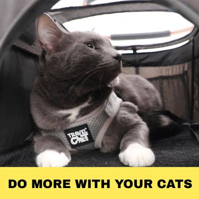 Show full view: Travel Cat The Whisker Wagon Deluxe Cat Stroller slide 7 of 10