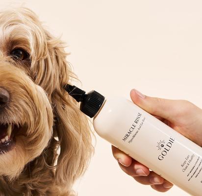 Show full view: Goldie Miracle Rinse Dog Ear Cleaner, 8-fl oz bottle slide 3 of 8