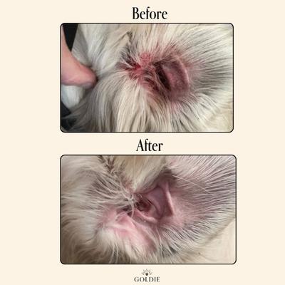 Show full view: Goldie Miracle Rinse Dog Ear Cleaner, 8-fl oz bottle slide 6 of 8