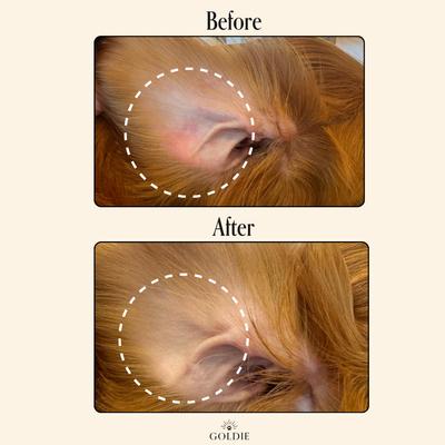 Show full view: Goldie Miracle Rinse Dog Ear Cleaner, 8-fl oz bottle slide 7 of 8