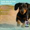 Show in main carousel: PawTides Pampered Pet Skin & Coat Supplement Spray for Dogs & Cats, 2-fl oz bottle slide 3 of 4