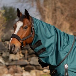 Equinavia Arktis Neck Cover No Fill Horse Turnout, Deep Green, Large
