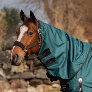 Equinavia Arktis Neck Cover No Fill Horse Turnout, Deep Green, X-Large