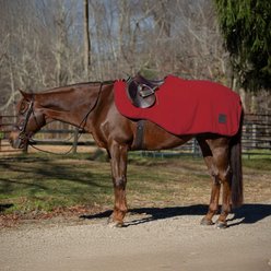 Equinavia Norse Fleece Horse Quarter Sheet, Equestrian Red/Black, Medium