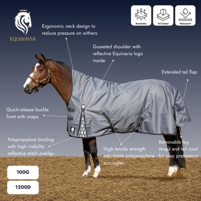 Show full view: Equinavia Arktis Extended Neck Light Weight 100g Horse Turnout Blanket, Deep Green, 72-in slide 3 of 9