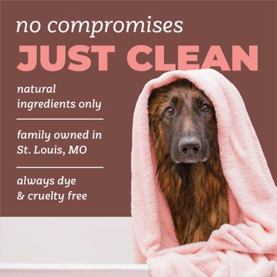 Show full view: TropiClean PURE Crisp & Clean Fresh Hypoallergenic Dog Shampoo, 22-fl oz bottle slide 6 of 9